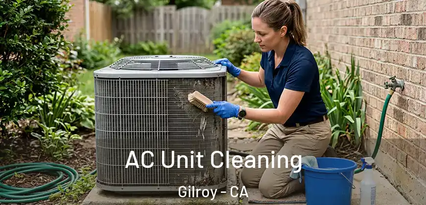 AC Unit Cleaning Gilroy - CA